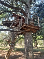 Assemblée Générale Juin 2025